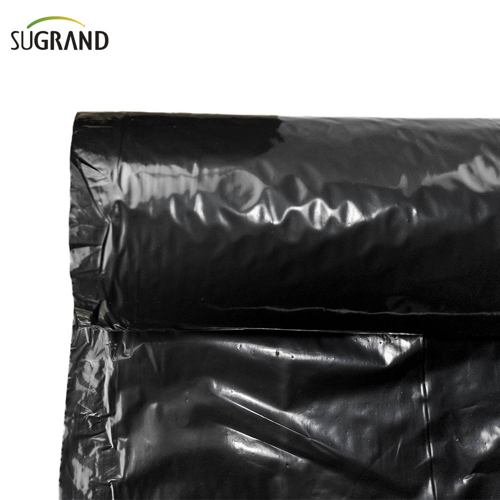 Biotelo Biodegradable Mulch Film Agriplast Mulching