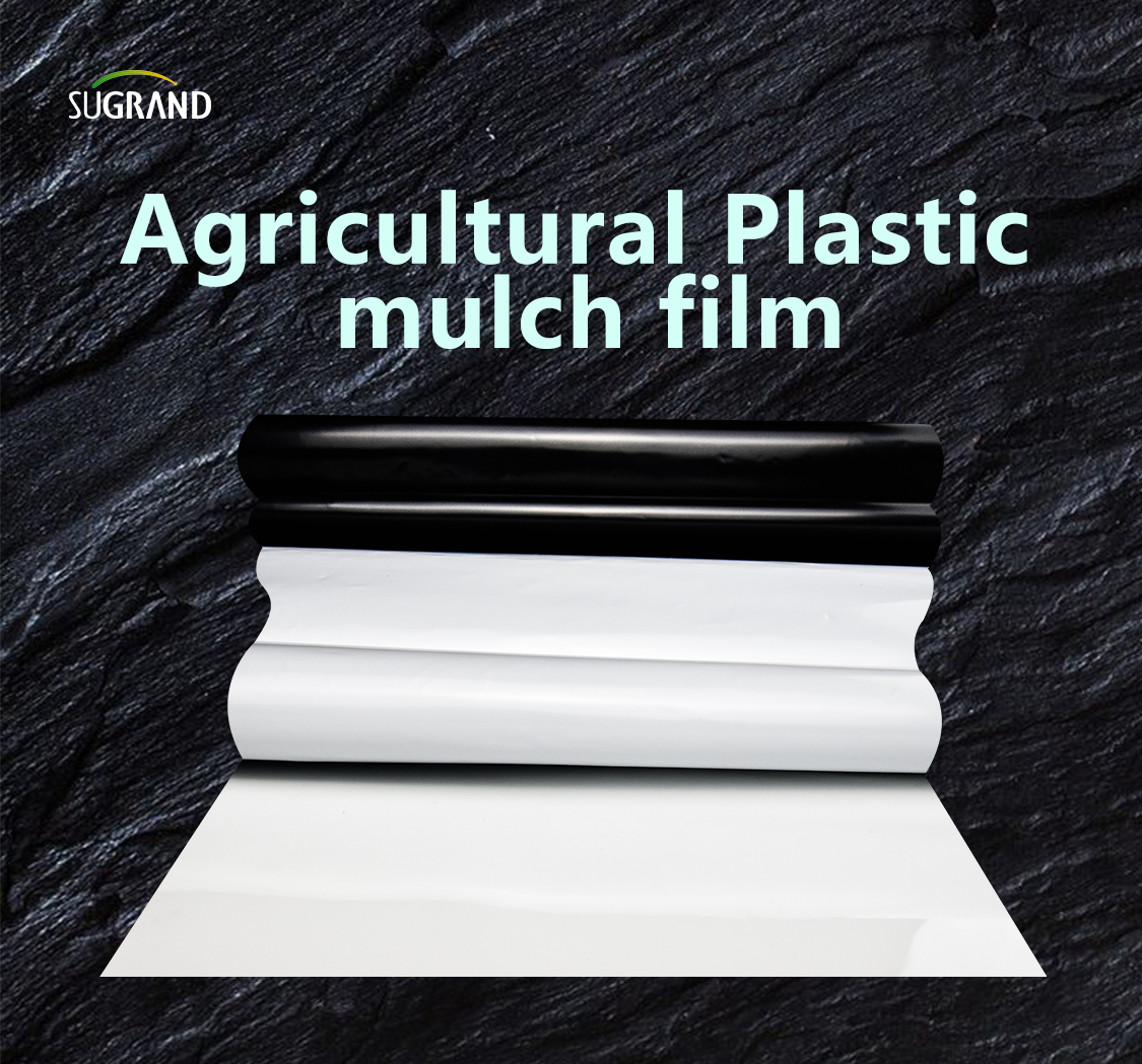 mulch film agricultural