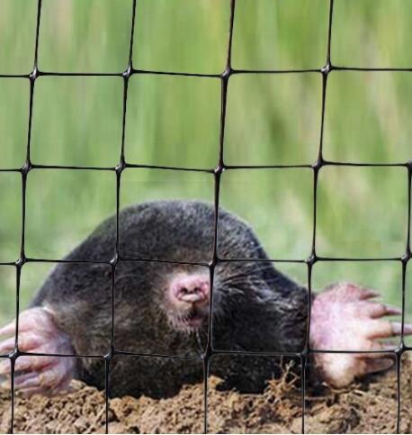 Anti-Mole Netting