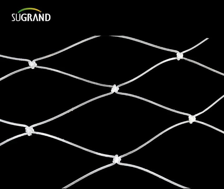 nylon fish net 2