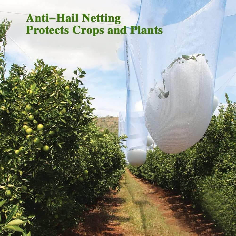 Hail Netting for Vineyards