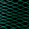 Green Bird Net 4x30m Bird Net for Thailand Market Suppliers