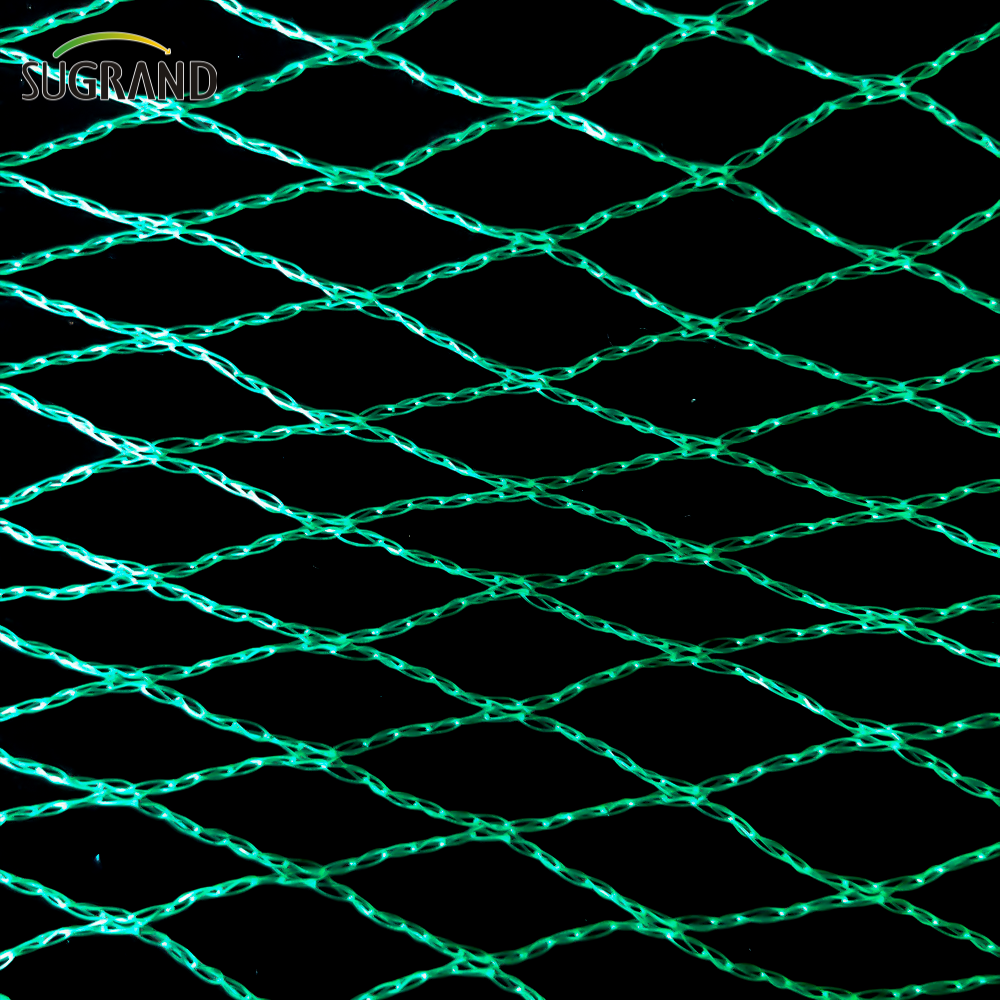 Green Bird Net 4x30m Bird Net for Thailand Market Suppliers