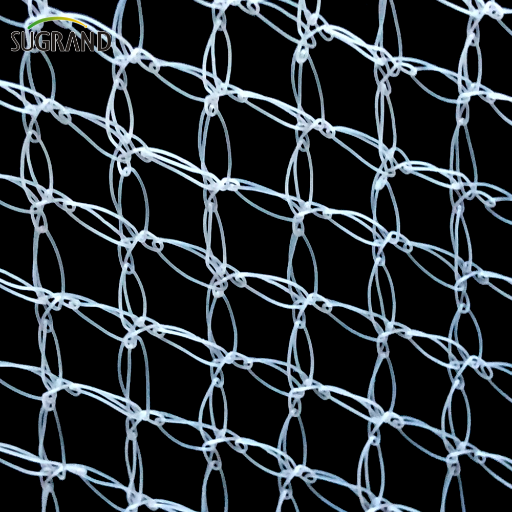 Garden Vineyard Bird Netting Warp Knitting Plastic Anti Bird Netting
