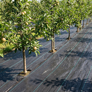 Wholesale PP Weed Mat OEM/ODM Weed Barrier