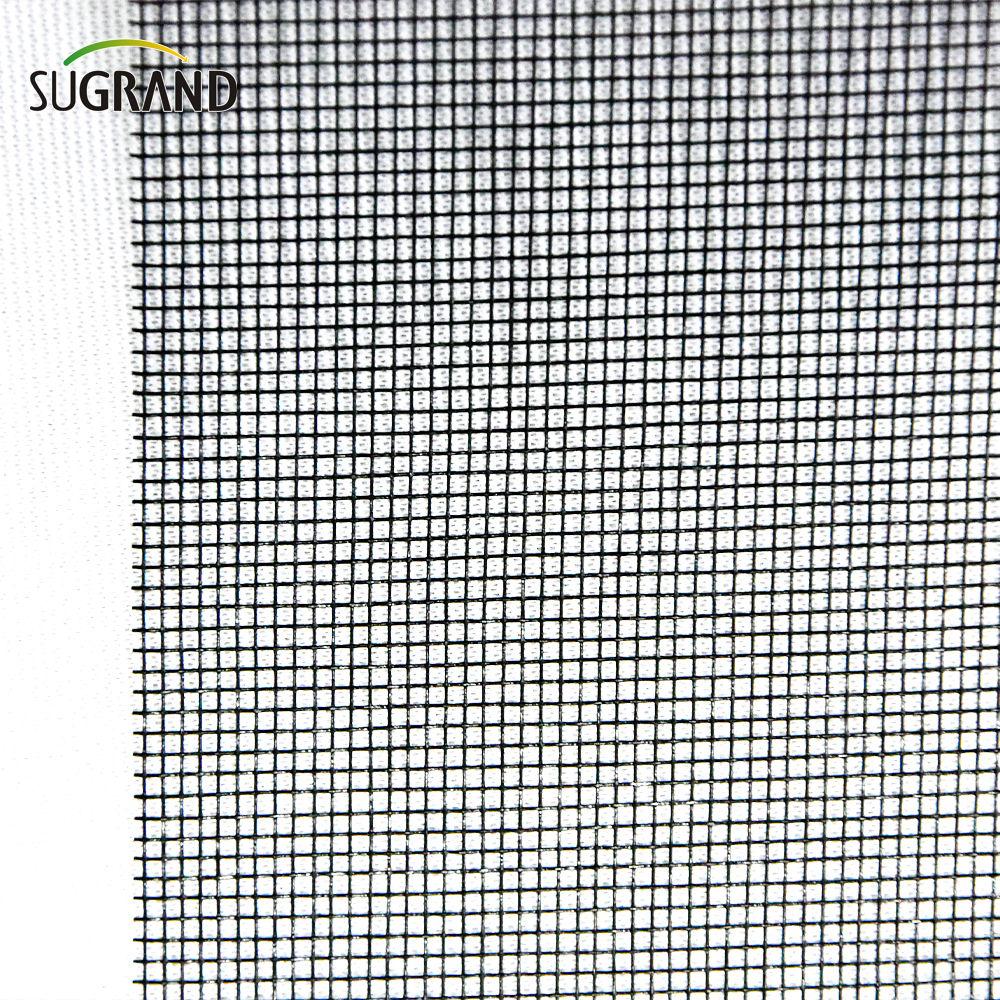 110gsm Anti Insect Net Fiberglass Insect Screen Mesh Suppliers