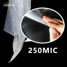 150 Micron-250 Micron UV Clear Polyethylene Greenhouse Plastic Sheeting Film Suppliers
