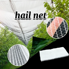 What Is An Anti Hail Net?