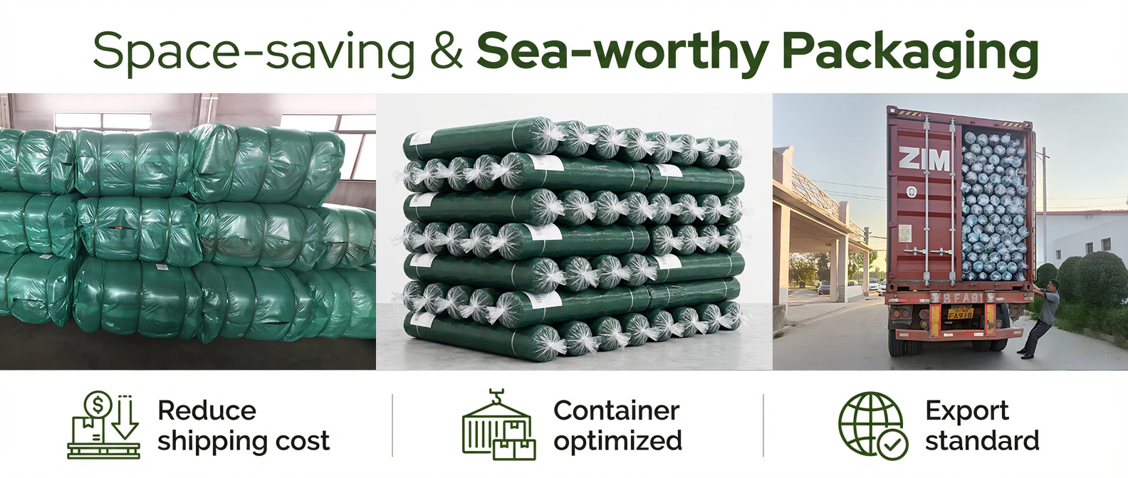 olive net factory.jpg