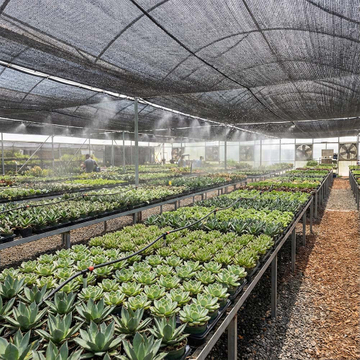 shade cloth for plants​.jpg