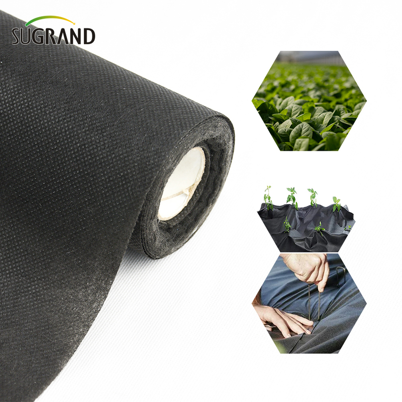 Plant Cover Non Woven Fabric Weed Control Mat 100 Pp Non Woven Fabric