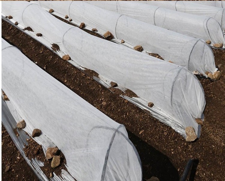 factory supply non woven fabric