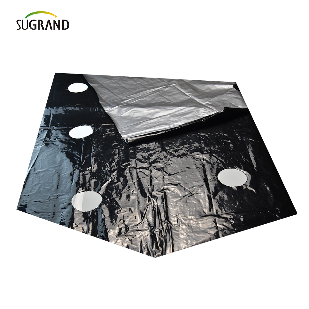 mulch film suppliers