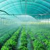 vegetable shading net