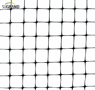 bird net