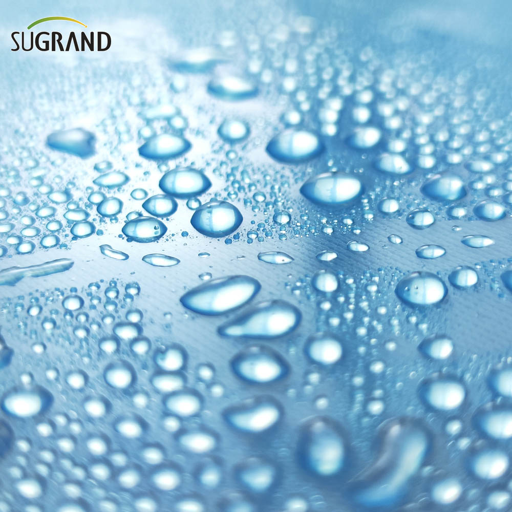 150 Micron-250 Micron UV Clear Polyethylene Greenhouse Plastic Sheeting Film Suppliers