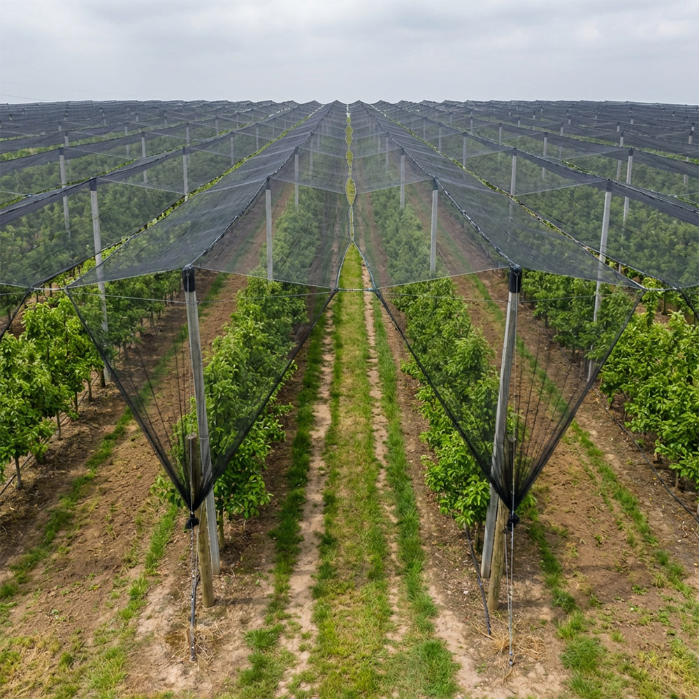 hail netting for farms