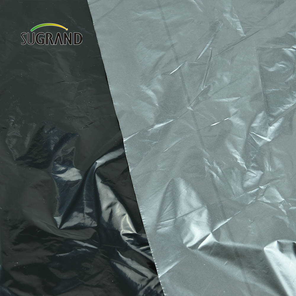 China Manufactory Silver Black LLDPE Agriculture Plastic Mulch Film for Greenhouse