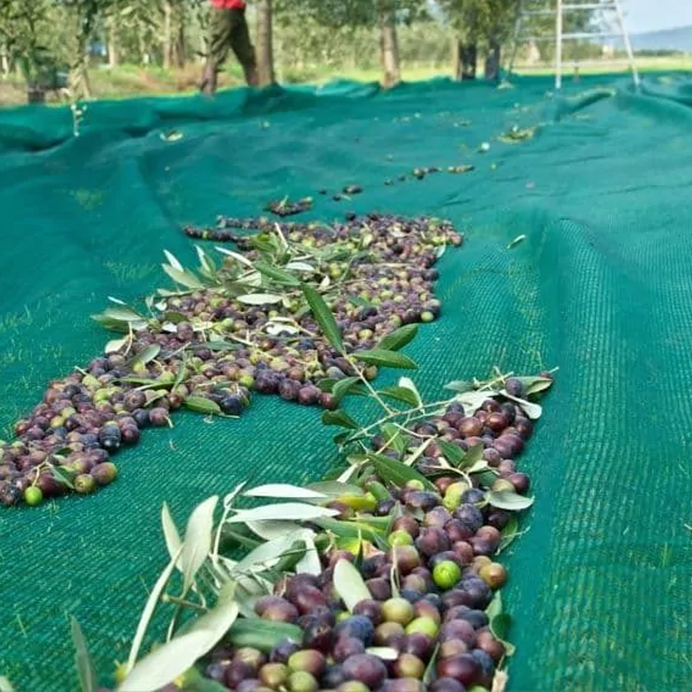 What Material Makes The Most Durable Olive Nets?