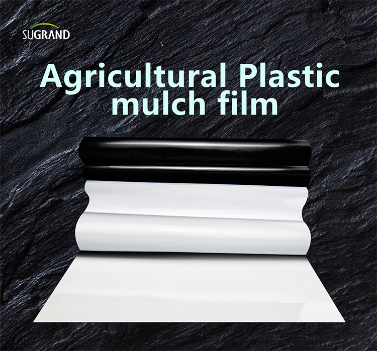 biotelo biodegradable mulch film