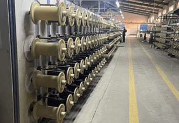 Insect Net Wire Drawing