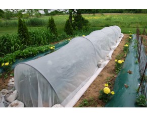 Four Main Points In Using Insect Proof Net