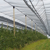 Orchards Hail Net