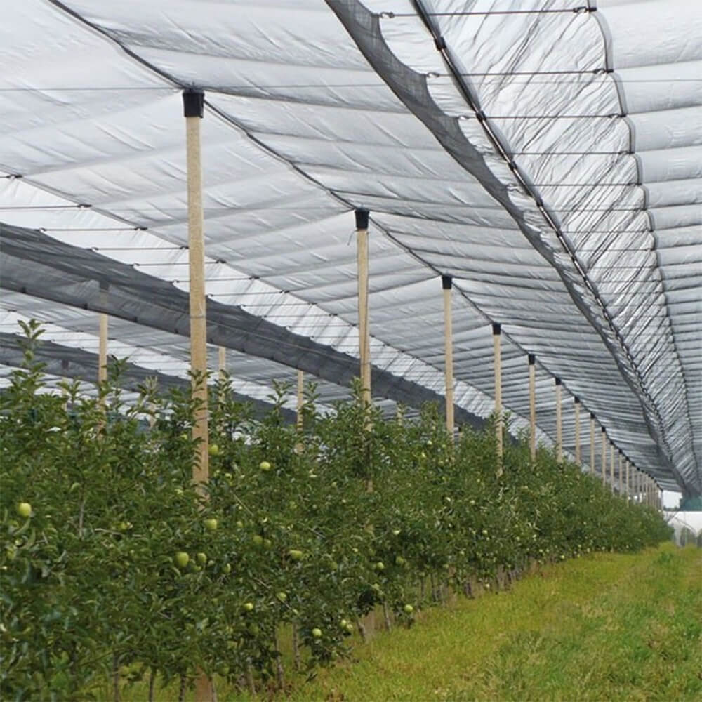 Orchards Hail Net