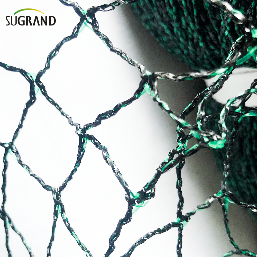 The Effectiveness of Nylon Bird Netting in Forestry Conservation