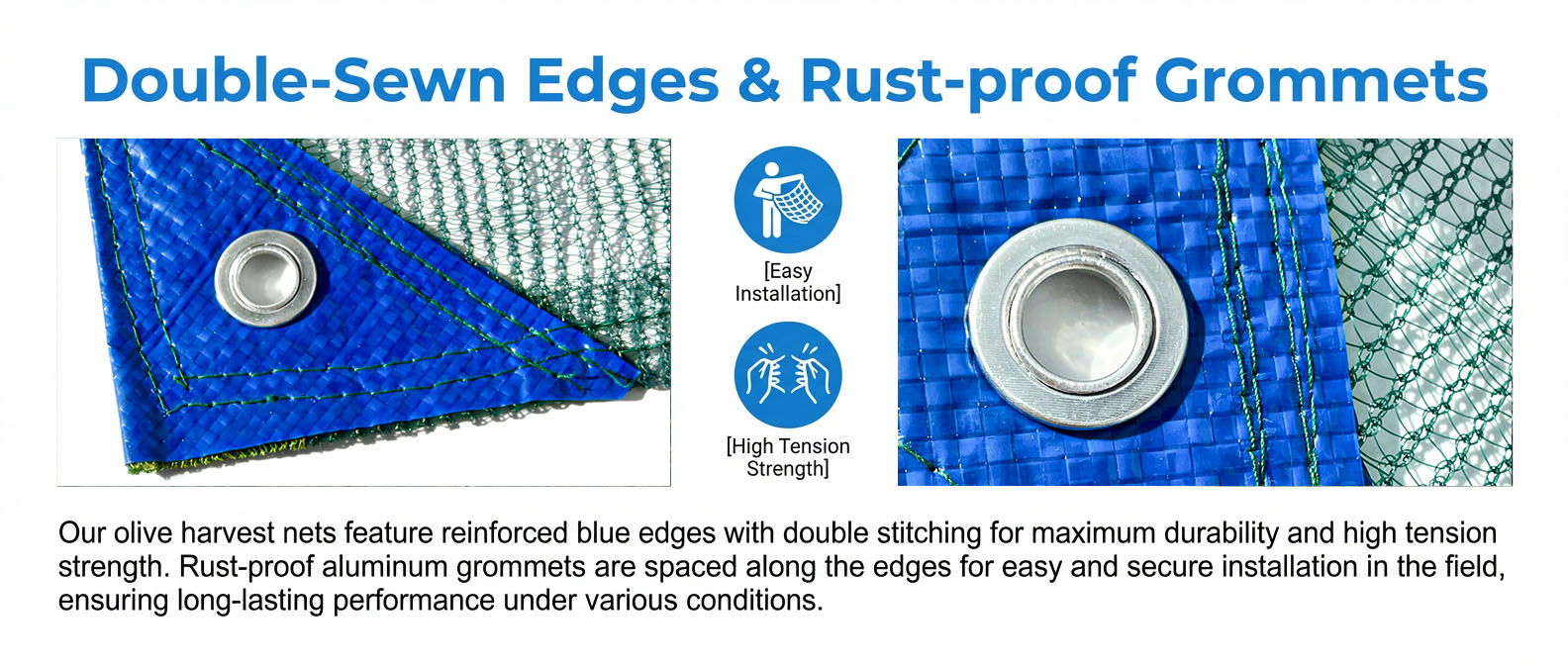 olive harvest nets.jpg