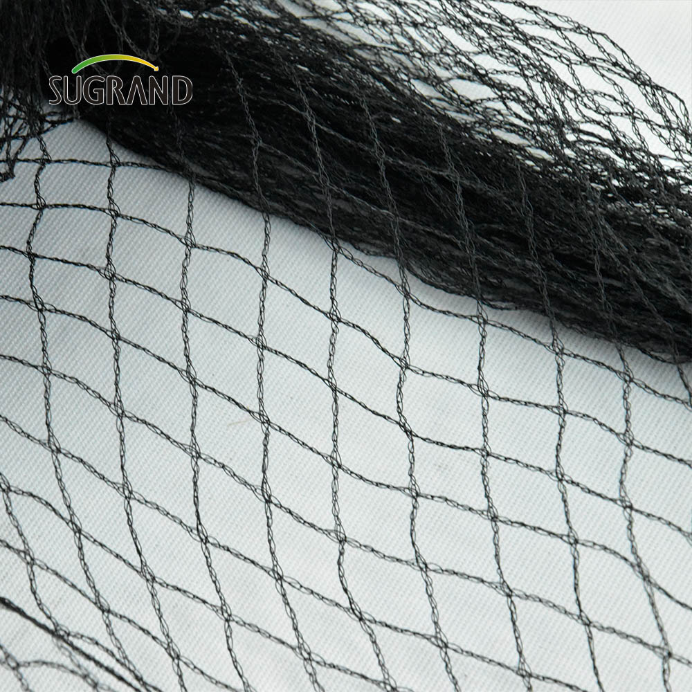 Factory Price Anti Bird Net Knitted Anti Bird Netting for Agricultural