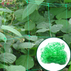 10GSM green plant support net/bean net