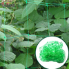 Garden Green White Balck Trellis Plant Climbing Support Netting Suppliers
