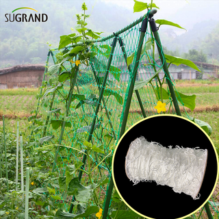 New HDPE White Plant Climbing Mesh Plant Support Net