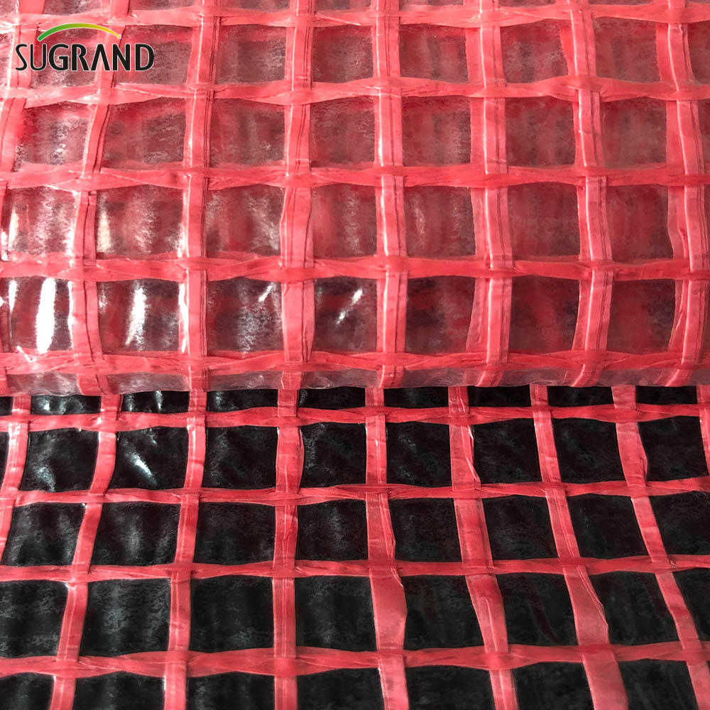Plastic Scaffold Mesh Sheeting Transparent PE Tarpaulin