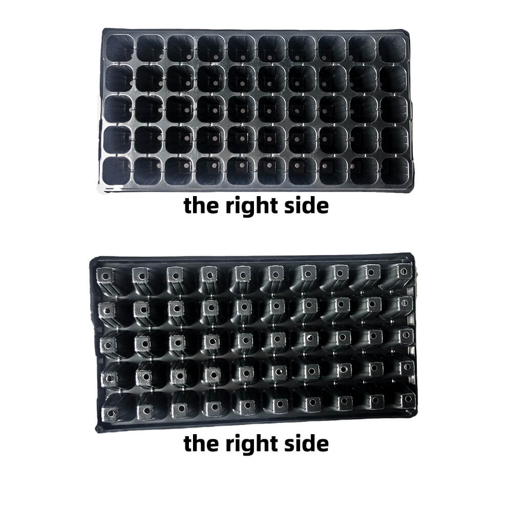 Seed Plant Germination Vegetables Flower Growing Tray Garden Seedling tray