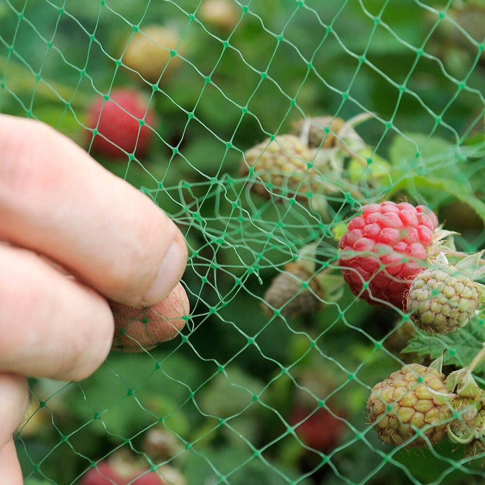 anti bird netting