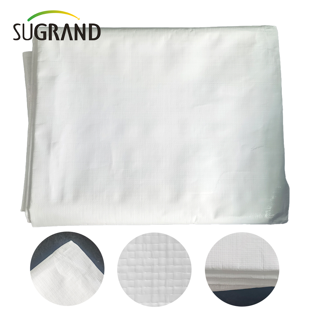 PE White Tarpaulin In Roll For Agriculture Industrial Outdoor Covers