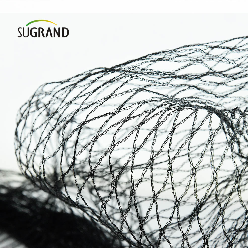 Factory Price Anti Bird Net Knitted Anti Bird Netting for Agricultural