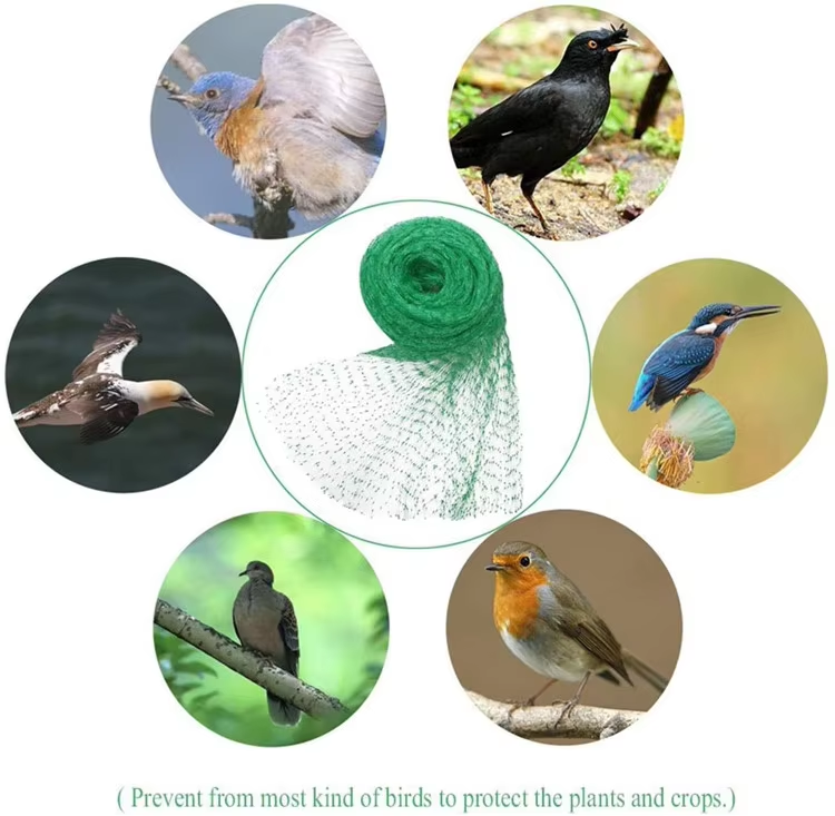 anti bird net