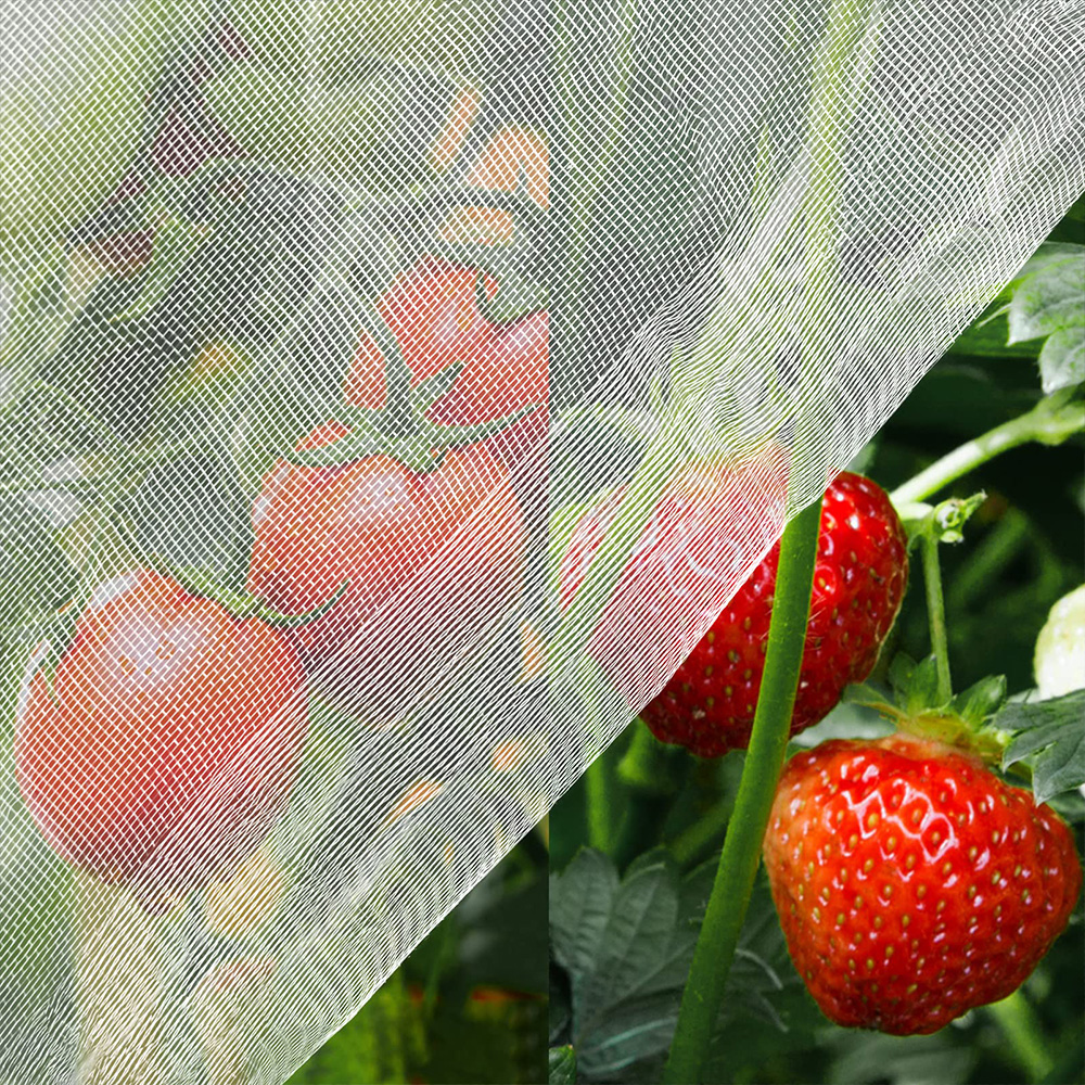 insect proof netting