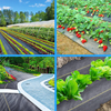 pp ground cover