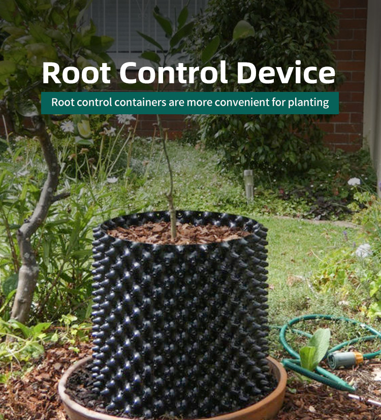 Root Controlling Container
