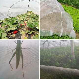 Agriculture Vegetable Anti Insect Netting