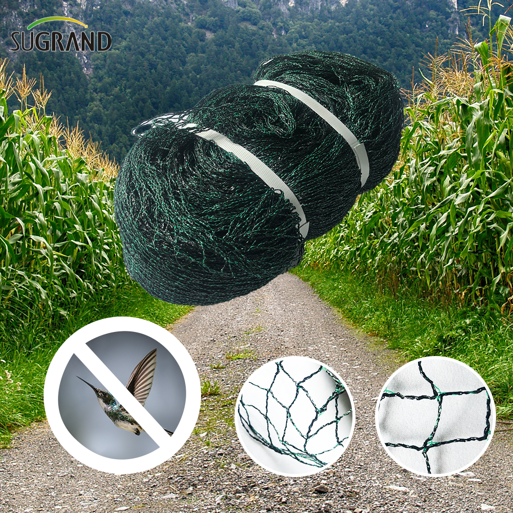 How To Keep Squirrels And Birds Away From Blueberry Bushes with Netting?