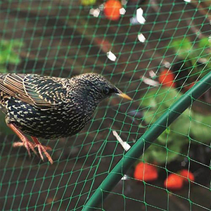 Bird Net for Orchard