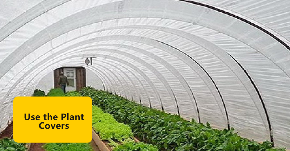 Greenhouse Polyethylene Film 25x40 Ft – 6 Mil White Weatherproof Plastic Cover