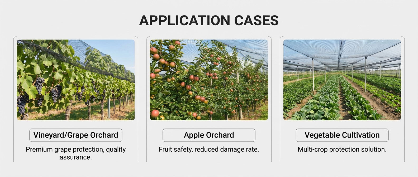 hail netting garden.jpg