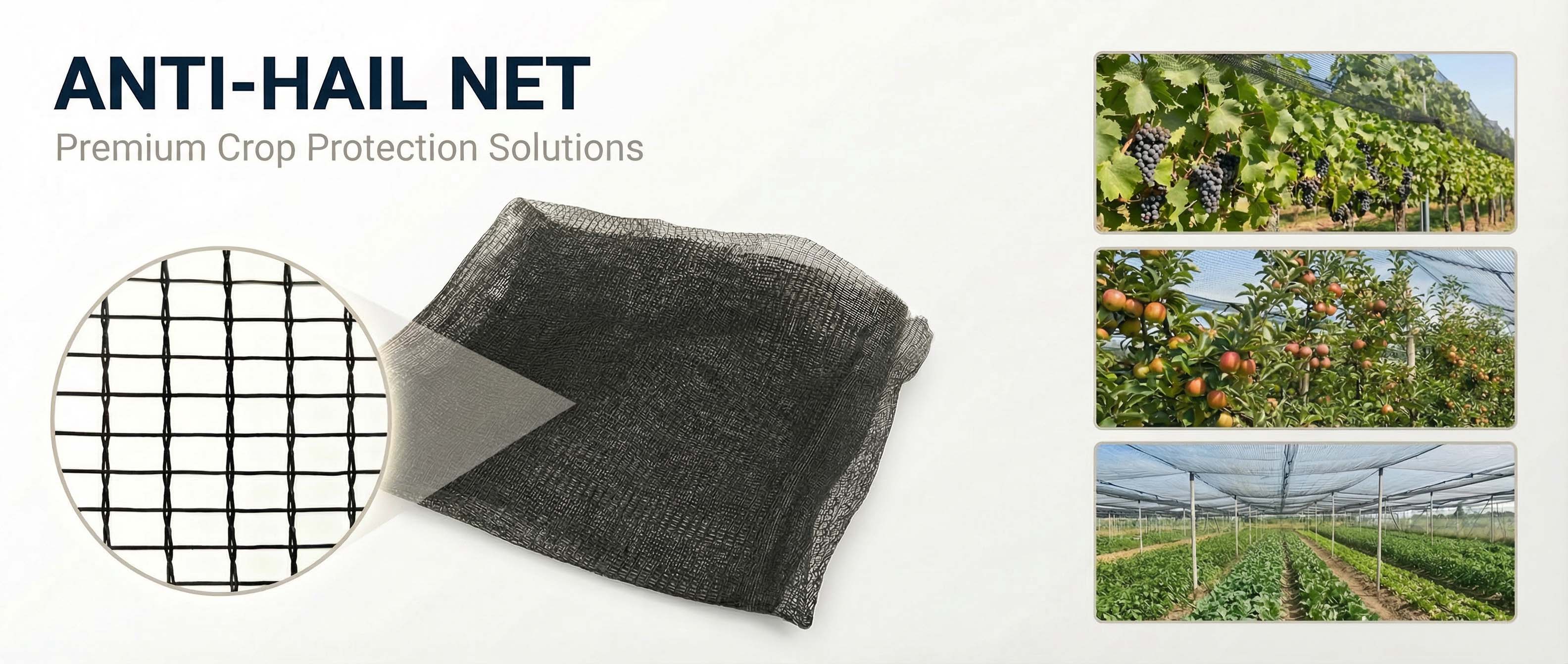 anti hail net​.jpg