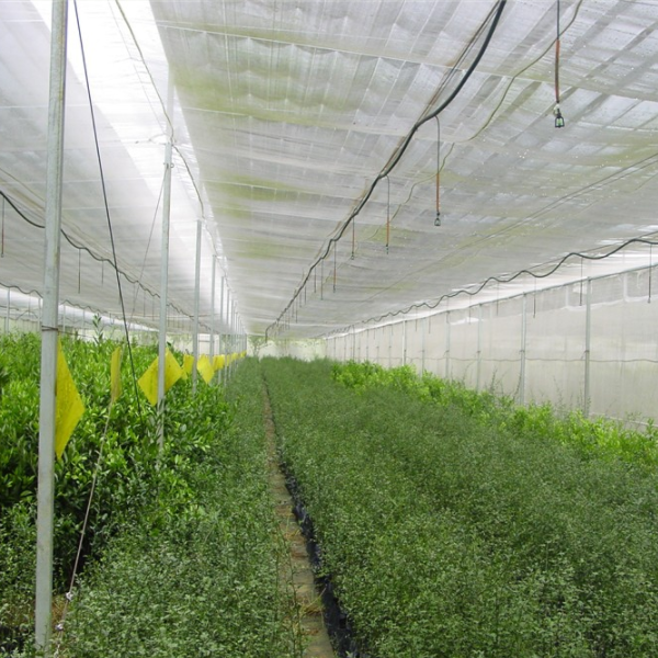 How to Choose A High-quality Insect Net
